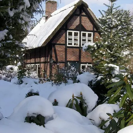 Ferienhaus Unter Reet Im Heidedorf Sankt Dionys Bei Lueneburg Buitenkant foto