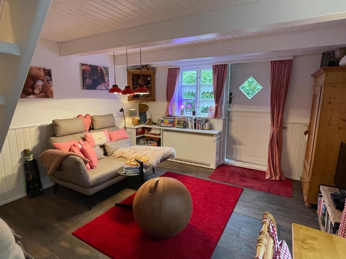 Unter Reet Im Heidedorf Bei Lueneburg Holiday home
